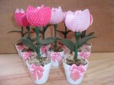 Mini Tulipa